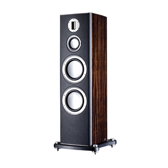 Monitor Audio Platinum PL-300 - Golvhögtalare