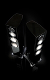 GX300 Black pair black