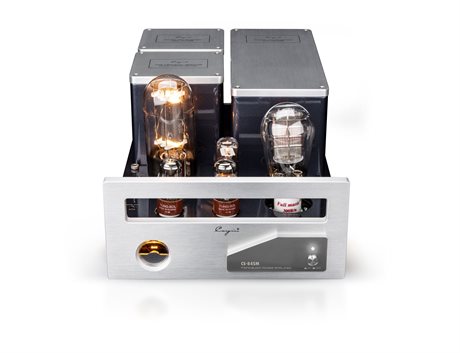Cayin CS-845M