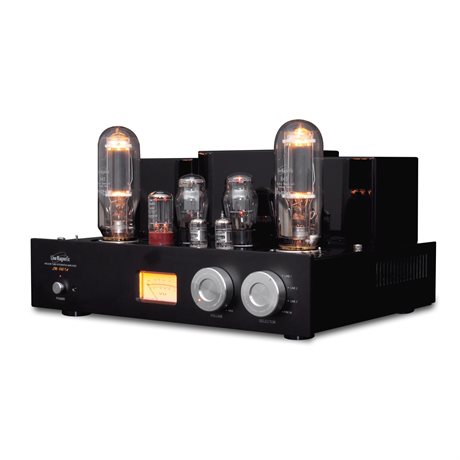 Line Magnetic Audio LM-845 IA