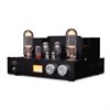 Line Magnetic Audio LM-845 IA