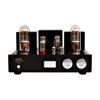 Line Magnetic Audio LM-845 IA