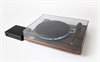 Rega Planar 3 - 50th Anniversary Edition