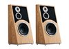 Audiovector Trapeze Ri
