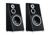 Audiovector Trapeze Ri